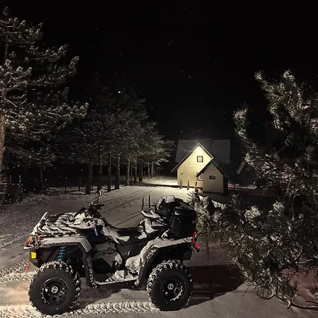 Golden Queen * 兹拉蒂博尔