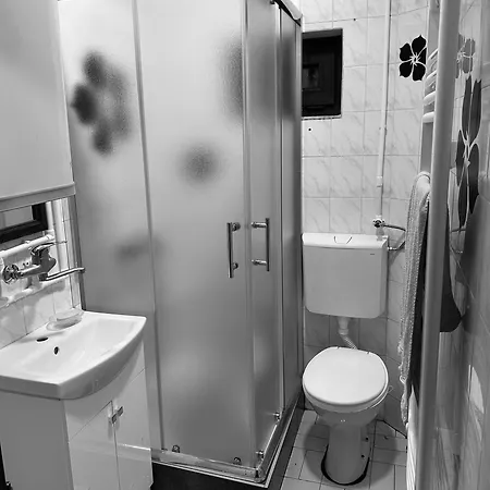 Golden Queen 兹拉蒂博尔