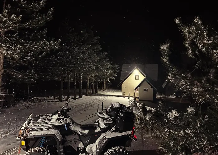 Golden Queen * 兹拉蒂博尔