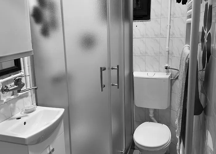 Golden Queen 兹拉蒂博尔