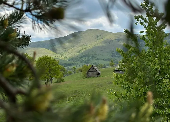 Golden Queen 度假居 兹拉蒂博尔